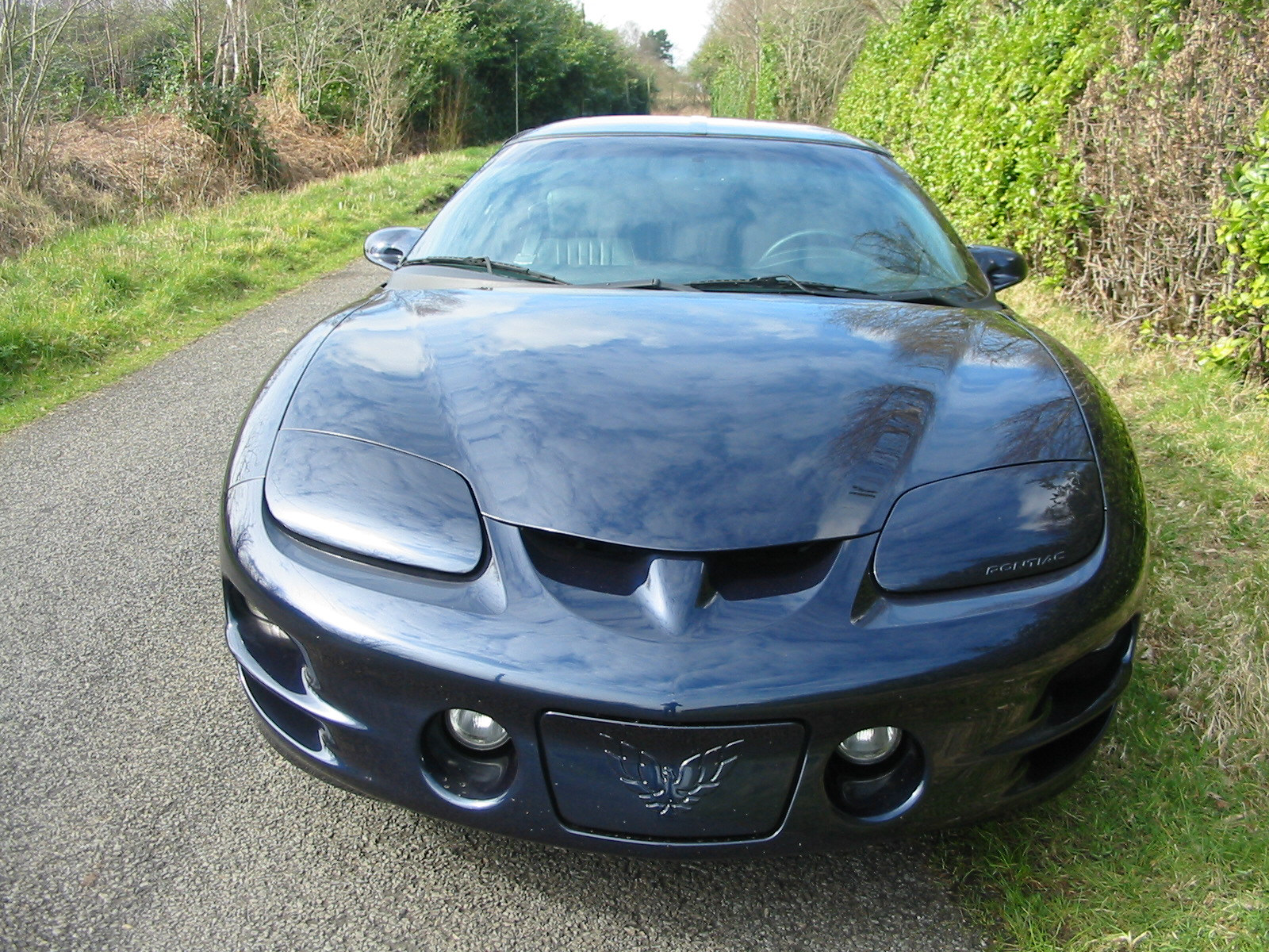 1998 Pontiac Trans Am